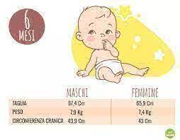 مواطن إنقاذ حداثة quanto pesa un neonato a 4 mesi amazon - lepomelie.com