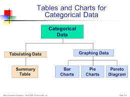 Chapter 2 Presenting Data In Tables And Charts Ppt Video