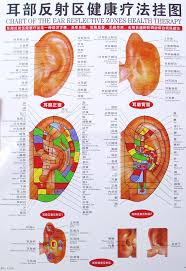 Us 11 98 Chart Of The Ear Reflective Zones Wallmap Ear Hand Foot Head Acupuncture Map Ustration Of Acupuncture Points Map 64cm 46cm In Massage