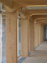 Structure En Bois Immeuble Tamedia A Zurich Architecture Bois Structure Bois Et Construction Bois