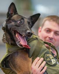 The Matt Haverkamp...