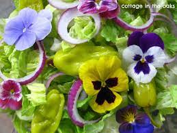 Pansies In Salad Edible Flowers Edible Flowers Eatable Flowers Edible