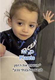 נופר בנג'ו (@nofar.benjo)