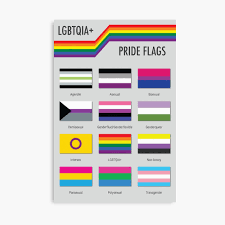 Lgbtq + or lgbtqi+ can be fully expanded to include a growing glossary. Lgbtqia Pride Flags Poster By Babybigfoot Redbubble