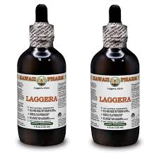 Image result for Laggera