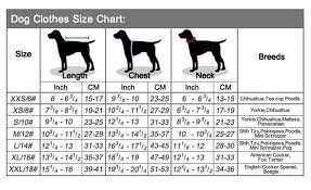 Dresses For Dogs Pet Clothes For Dogs Yorkie Puppy Clothes Dog Sweater Small Girl Dog Sweater Dog Winter Clothes Dog Coat Pet Costume In 2021 Knit Dog Sweater Puppy Clothes Dog Clothes