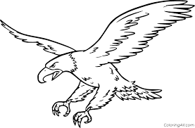 Bald eagle fun facts for kids. Bald Eagle Coloring Pages Coloringall