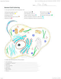 Plant cell coloring worksheet biology corner. Animal Cell Otaku Wallpaper