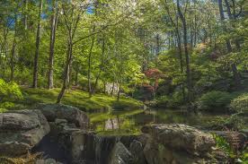 Distance and aircraft type by airline for flights from dallas love field to memorial field. Cheap Flights From Dallas Tx To Hot Springs Ar With Prices Dfw Lit Tripadvisor