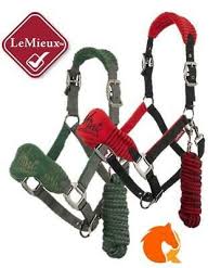 Get your high heel fix in this section. Lemieux Mini Vogue Fleece Headcollar And Leadrope Set Mini Horse Brand Horse Tack Horse Fashion