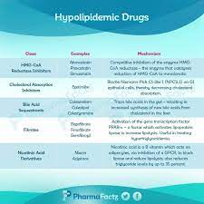 Pin By Punnagai Guna On Pharm Pins Pharmacology Nursing Pharmacology Studying How To Memorize Things