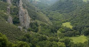 Although the park is close to several cities, there are peaks within it from which you can see only park and watershed lands for. A Guide To The Best Hiking In The East Bay Visit Concord