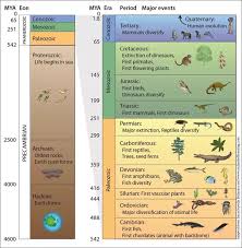 Afbeeldingsresultaat Voor Geological Time Scale