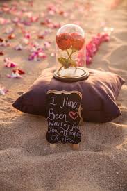 Marriage Proposal Inspiration Marriage Proposals Wedding Proposals Cute Proposal Ideas