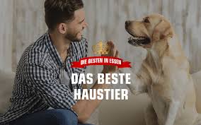Der radiosender sendet im laufe des tages über lokale nachrichten und die zusammenfassungen wichtiger ereignisse. Radio Essen Fruhteam