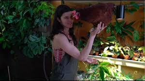 Grow Lights For Houseplants Plant One On Me Ep 054 Youtube