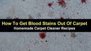 I have been trying to get blood out of carpet but it just keeps on coming back up in the fibers just when i think i have gotten it. How To Get Blood Stains Out Of Carpet Homemade Carpet Cleaner Recipes