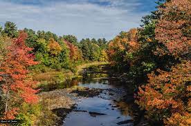 We apologize for the inconvenience, but you may be able to find it instead through your library resources. Salmon Falls River Photograph By Dan Jordan