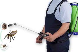 Pest control for cockroaches, bedbugs, termites, mosquitoes, and rodents certified professional using scientifically approved procedures, at your service 1 Pest Control Services Mumbai Best Pest Control Company Mumbai