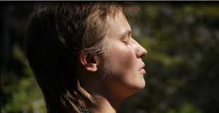 Accidental Tourists (2013)