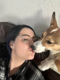 Adorable Corgi Pictures and Love