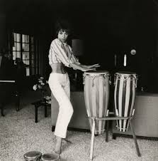 Beatnik Tumblr Beatnik Basch Pink Panthers