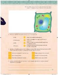 Paco el chato es una plataforma independiente que ofrece recursos de apoyo a los libros de texto de la sep y otras editoriales. Paco El Chato Secundaria 1 Grado Biologia Evaluacion Ayuda Para Tu Tarea De Ciencias Y Tecnologia Biologia Sep Secundaria Primero Respuestas Y Explicaciones Paco El Chato Es Un Cuento Que