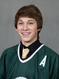 Southwest Michigan Blades