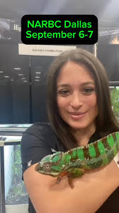 This is the story about how my cat lost his penis. 🍆🙀 After Iroh had two  urethral obstructions, it was time for him to have a perineal urethrostomy  surgery, or PU. Basically,