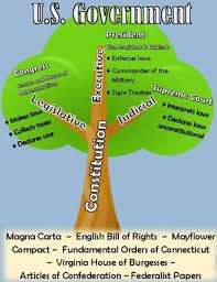 Roots Of Government Tree Poster