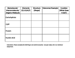 biomolecules graphic organizer worksheets teachers pay