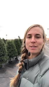 Www.vegaschristmastrees.com