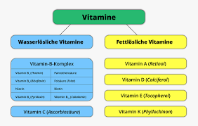 Nhan pp & hoa nk. Einfuhrung In Die Vitamine