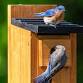 January Monthly Meeting  — Keller Garden Club event image
