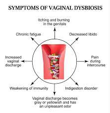 Candida No Carb Diet Candida Free Meal Ideas Yeast Infection Candida Yeast Infection Yeast Infection Home Remedy