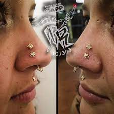Like The High One The Cover A Scar Nose Piercing Jewelry Face Piercings High Nostril Piercing