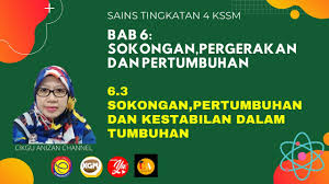 Download rpt sains tambahan tingkatan 4 meletup soalan via skoloh.com. Sokongan Pertumbuhan Dan Kestabilan Dalam Tumbuhan Sains Ting 4 Kssm Youtube