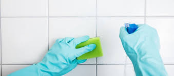 Epingle Sur Nettoyer Sa Douche
