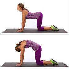 Image result for cat and camel exercise