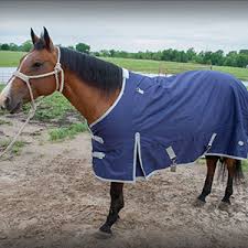 Moving cacti in the landscape, especially large specimens, can be a challenge. Cactus Ropes Cactus Gear Stable Blankets