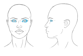 The Differences Between Male And Female Portraits Drawing tutorial animation reference animated drawings drawings character design references drawing people art reference poses art tutorials walk exhausted: the differences between male and female