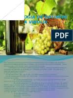 Toba de casa este nelipsita de pe masa de craciun si anul nou a romanilor. Aousrt9vvzx71m