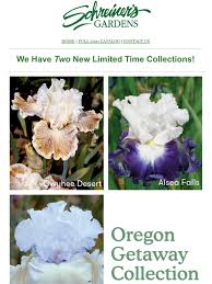 These cultivars grow best in cold climates. Schreiner S Iris Gardens Summer Sale Starts Now Milled