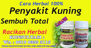 Maybe you would like to learn more about one of these? Obat Penyakit Kuning Sangat Ampuh 3 Hari Sembuh