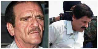 Check out full gallery with 422 pictures of enrique iglesias. El Clavel Narcos