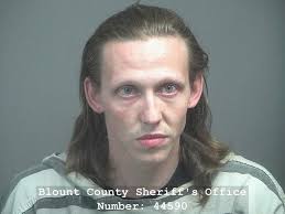 BCSO: Blount County man charged in kidnapping, severe beating