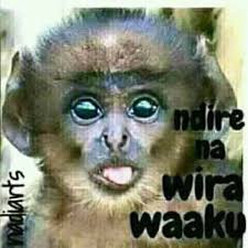 Two weeks ago officers from Mugwanja's office camped at tabor hill for days  without per diem to process receipts and other supporting documents to  account for 51m that had been used by