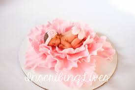 Baby Shower Cake Topper Girl Pink Peony 3d Figures Edible Baby Shower Cake Topper Girl Baby Shower Cake Topper Baptism Cake Toppers