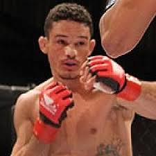 Julio Cesar dos Santos MMA Stats, Pictures, News, Videos, Biography