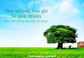 Vietnamese Proverb You Are Never Too Old To Learn Proverbs Vietnamese Quote Learn Late Early Vietnamese Quotes Proverbs Quotes Proverbs